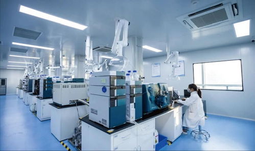 中原科技城 生命科學產業新引擎，技術服務驅動未來健康新變革